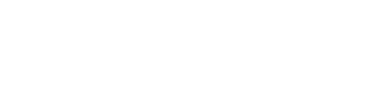 Next Level Landscaping